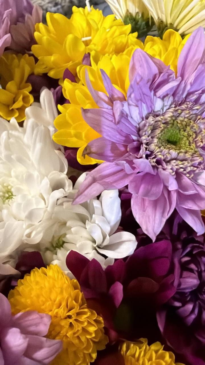 If you know of the crazy that’s been going on in our lives the last few months you know how sometimes a small gesture or a warm hug or a genuine smile is all that is needed…but when the hubby wants me to know that he appreciates me and what I do he buys me flowers to remind me that we are going to make it! Guys these are just so pretty!!!

Thanks Paul for making the crazy seem a little less crazy! 

#BloomingTogether #LegallyScented #stitchtheditch #MSHPaulIDo #mspaulido #adventuresofPaulandMarySarah